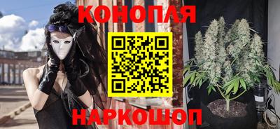 сатива Заводоуковск