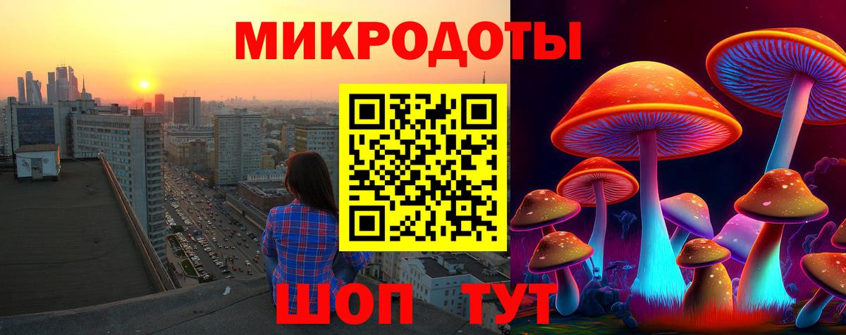 Галлюциногенные грибы Psilocybine cubensis Буйнакск