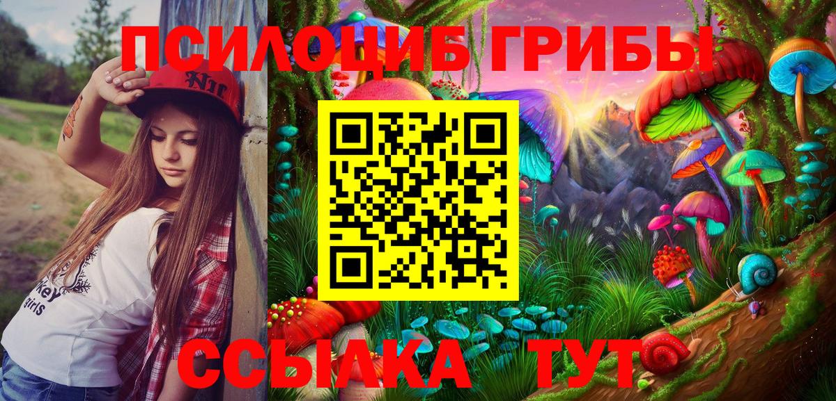 Галлюциногенные грибы мицелий  Вход с VPN  Галлюциногенные грибы прущие грибы  Буйнакск 